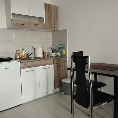 Maki I Jeka Apartment Soko Banja